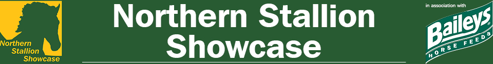 Northern Stallion Showcase